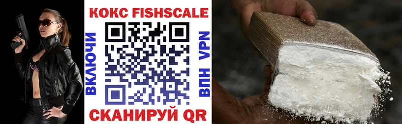 купить закладку  Андреаполь  Cocaine Fish Scale 