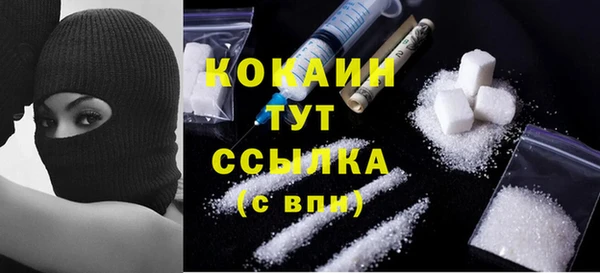 ECSTASY Алзамай