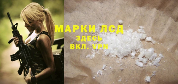 ECSTASY Алзамай