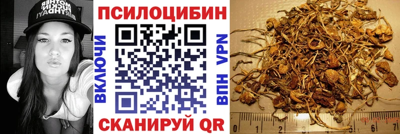 сколько стоит  Андреаполь  Галлюциногенные грибы Psilocybine cubensis 
